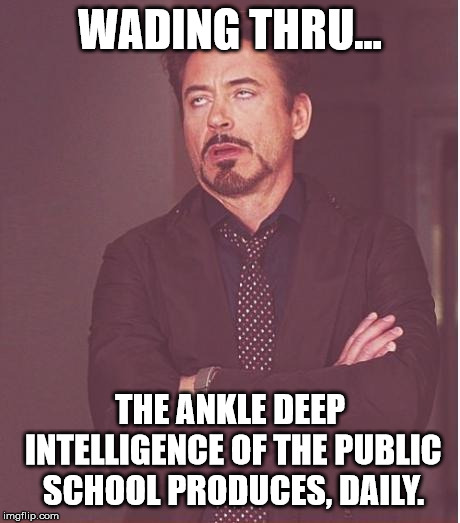 Face You Make Robert Downey Jr | WADING THRU... THE ANKLE DEEP INTELLIGENCE OF THE PUBLIC SCHOOL PRODUCES, DAILY. | image tagged in memes,face you make robert downey jr | made w/ Imgflip meme maker