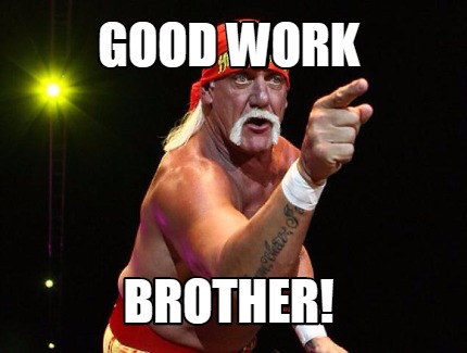 High Quality hulk hogan Blank Meme Template