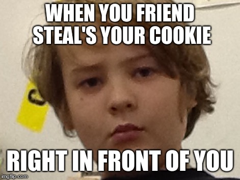 bruh | WHEN YOU FRIEND STEAL'S YOUR COOKIE; RIGHT IN FRONT OF YOU | image tagged in gg | made w/ Imgflip meme maker