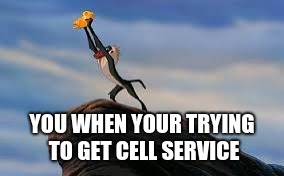 YOU WHEN YOUR TRYING TO GET CELL SERVICE | image tagged in lion king | made w/ Imgflip meme maker