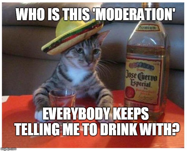MODERATION | WHO IS THIS 'MODERATION'; EVERYBODY KEEPS TELLING ME TO DRINK WITH? | image tagged in drinking,problems | made w/ Imgflip meme maker