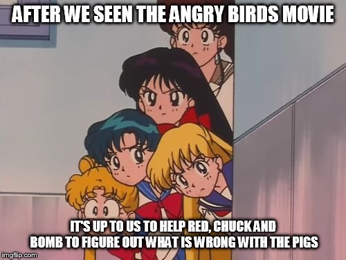sailor moon the sailor Scouts | AFTER WE SEEN THE ANGRY BIRDS MOVIE; IT'S UP TO US TO HELP RED, CHUCK AND BOMB TO FIGURE OUT WHAT IS WRONG WITH THE PIGS | image tagged in sailor moon the sailor scouts | made w/ Imgflip meme maker