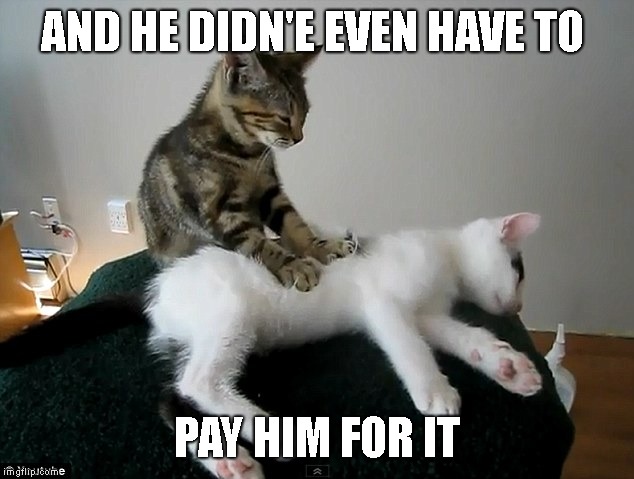 cat massage | AND HE DIDN'E EVEN HAVE TO PAY HIM FOR IT | image tagged in cat massage | made w/ Imgflip meme maker