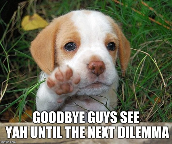 Goodbye politics | GOODBYE GUYS SEE YAH UNTIL THE NEXT DILEMMA | image tagged in dog puppy bye,memes,politics | made w/ Imgflip meme maker