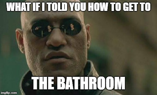 Matrix Morpheus | WHAT IF I TOLD YOU HOW TO GET TO; THE BATHROOM | image tagged in memes,matrix morpheus | made w/ Imgflip meme maker
