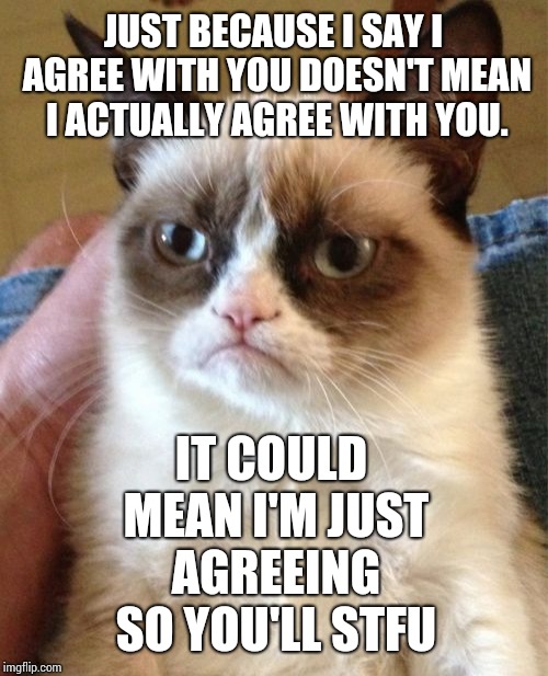 You Never Know | JUST BECAUSE I SAY I AGREE WITH YOU DOESN'T MEAN I ACTUALLY AGREE WITH YOU. IT COULD MEAN I'M JUST AGREEING SO YOU'LL STFU | image tagged in memes,grumpy cat,let it go,stfu,shhhh,silence | made w/ Imgflip meme maker