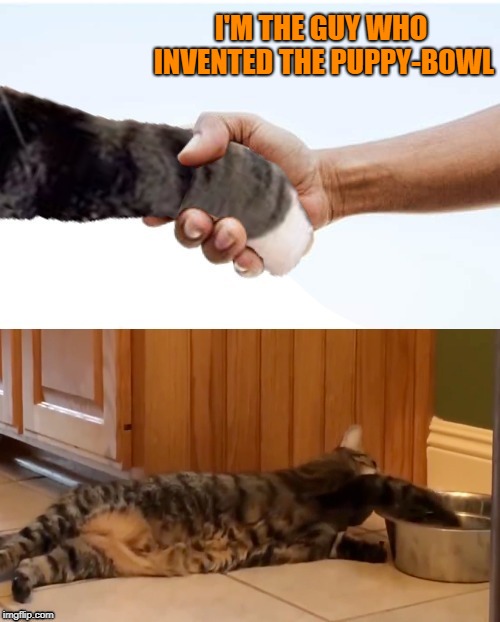 Cat washes hands | I'M THE GUY WHO INVENTED THE PUPPY-BOWL | image tagged in funny memes,cat,washing hands,puppy,funny cat memes | made w/ Imgflip meme maker
