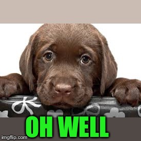 OH WELL | made w/ Imgflip meme maker