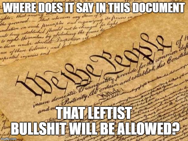 Constitution | WHERE DOES IT SAY IN THIS DOCUMENT; THAT LEFTIST BULLSHIT WILL BE ALLOWED? | image tagged in constitution | made w/ Imgflip meme maker