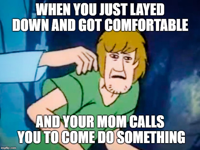 Shaggy meme | WHEN YOU JUST LAYED DOWN AND GOT COMFORTABLE; AND YOUR MOM CALLS YOU TO COME DO SOMETHING | image tagged in shaggy meme | made w/ Imgflip meme maker