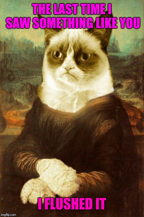 Down the toilet..
 | THE LAST TIME I SAW SOMETHING LIKE YOU; I FLUSHED IT | image tagged in grumpy cat mona lisa,memes,grumpy cat | made w/ Imgflip meme maker