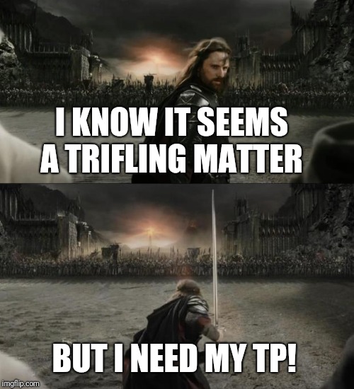 Aragorn in battle | I KNOW IT SEEMS A TRIFLING MATTER BUT I NEED MY TP! | image tagged in aragorn in battle | made w/ Imgflip meme maker