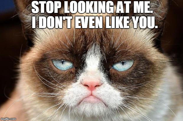 Grumpy Cat Not Amused | STOP LOOKING AT ME.
 I DON'T EVEN LIKE YOU. | image tagged in memes,grumpy cat not amused,grumpy cat | made w/ Imgflip meme maker