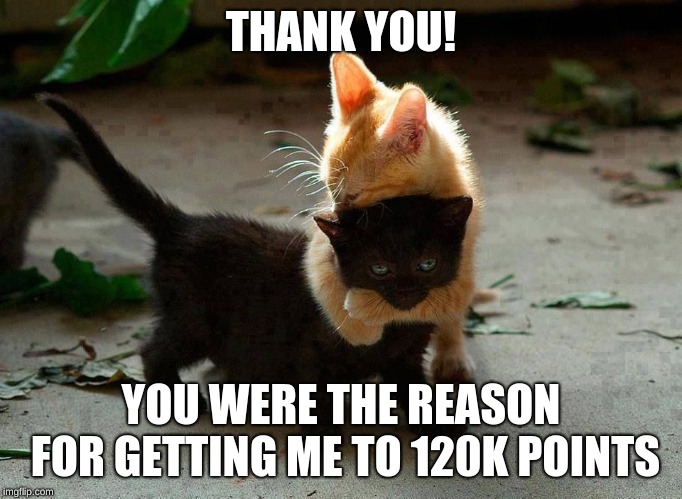 kitten hug | THANK YOU! YOU WERE THE REASON FOR GETTING ME TO 120K POINTS | image tagged in kitten hug | made w/ Imgflip meme maker