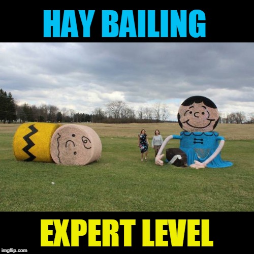 ugh | HAY BAILING; EXPERT LEVEL | image tagged in peanuts,hay bails,level expert | made w/ Imgflip meme maker
