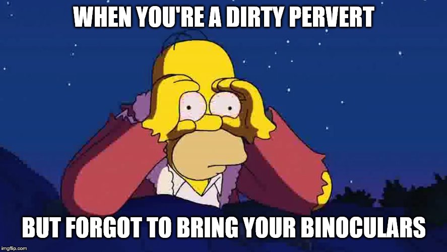 WHEN YOU'RE A DIRTY PERVERT; BUT FORGOT TO BRING YOUR BINOCULARS | image tagged in homer simpson,the simpsons,dirty pervert | made w/ Imgflip meme maker