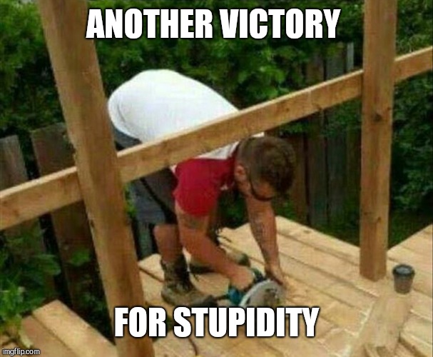 ANOTHER VICTORY FOR STUPIDITY | made w/ Imgflip meme maker