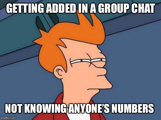 Futurama Fry | GETTING ADDED IN A GROUP CHAT; NOT KNOWING ANYONE’S NUMBERS | image tagged in memes,futurama fry | made w/ Imgflip meme maker