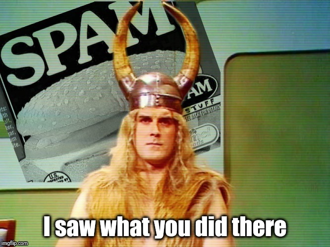Spam , spam , spam . . . | I saw what you did there | image tagged in spam  spam  spam | made w/ Imgflip meme maker