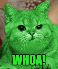 RayCat Annoyed | WHOA! | image tagged in raycat annoyed | made w/ Imgflip meme maker