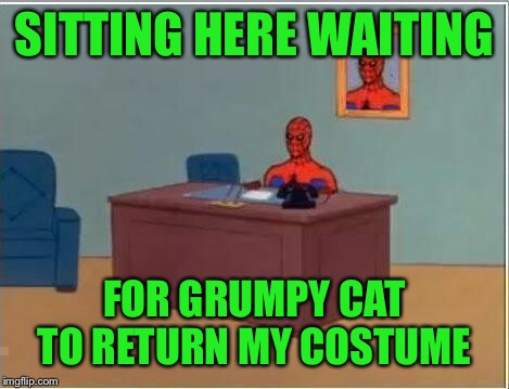 Spiderman Computer Desk Meme | SITTING HERE WAITING FOR GRUMPY CAT TO RETURN MY COSTUME | image tagged in memes,spiderman computer desk,spiderman | made w/ Imgflip meme maker