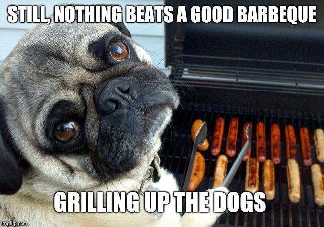 Pug BBQ | STILL, NOTHING BEATS A GOOD BARBEQUE GRILLING UP THE DOGS | image tagged in pug bbq | made w/ Imgflip meme maker