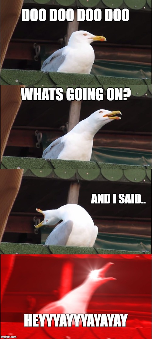 Inhaling Seagull | DOO DOO DOO DOO; WHATS GOING ON? AND I SAID.. HEYYYAYYYAYAYAY | image tagged in memes,inhaling seagull | made w/ Imgflip meme maker