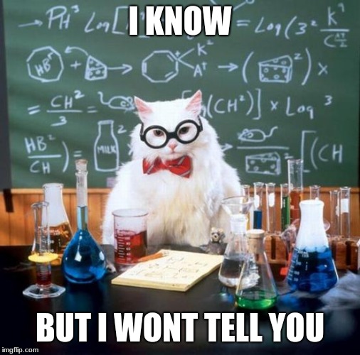 Chemistry Cat Meme | I KNOW BUT I WONT TELL YOU | image tagged in memes,chemistry cat | made w/ Imgflip meme maker