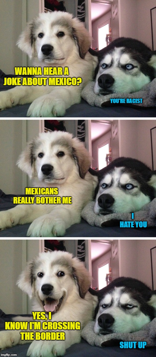 Bad pun dogs | WANNA HEAR A JOKE ABOUT MEXICO? YOU'RE RACIST; MEXICANS REALLY BOTHER ME; I HATE YOU; YES, I KNOW I'M CROSSING THE BORDER; SHUT UP | image tagged in bad pun dogs | made w/ Imgflip meme maker