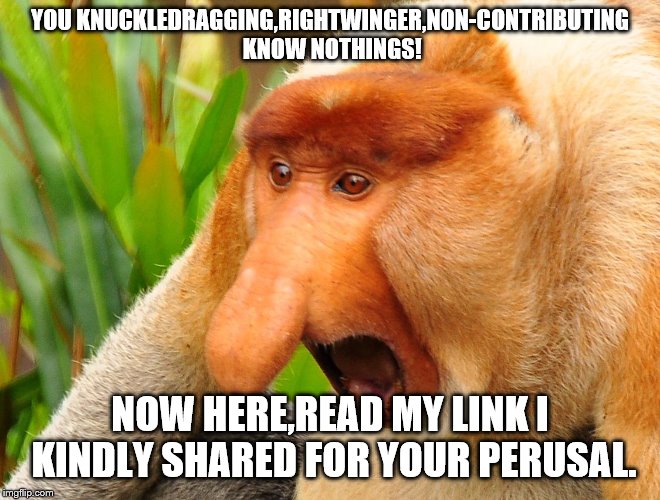Nosacz | YOU KNUCKLEDRAGGING,RIGHTWINGER,NON-CONTRIBUTING KNOW NOTHINGS! NOW HERE,READ MY LINK I KINDLY SHARED FOR YOUR PERUSAL. | image tagged in nosacz | made w/ Imgflip meme maker