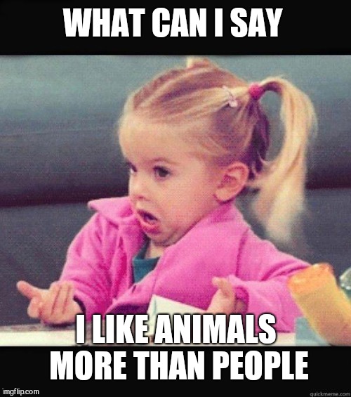 I dont know girl | WHAT CAN I SAY I LIKE ANIMALS MORE THAN PEOPLE | image tagged in i dont know girl | made w/ Imgflip meme maker