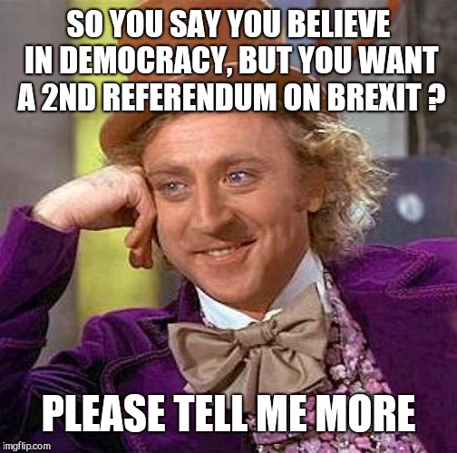 Creepy Condescending Wonka Meme | SO YOU SAY YOU BELIEVE IN DEMOCRACY, BUT YOU WANT A 2ND REFERENDUM ON BREXIT ? PLEASE TELL ME MORE | image tagged in memes,creepy condescending wonka | made w/ Imgflip meme maker