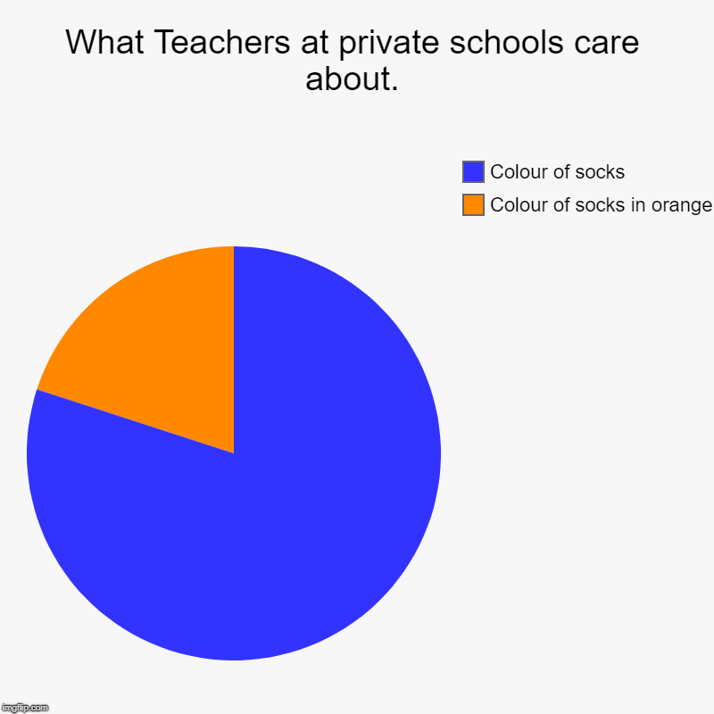 What Teachers at private schools care about. | Colour of socks in orange, Colour of socks | image tagged in charts,pie charts | made w/ Imgflip chart maker