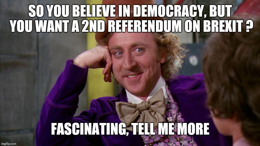 gene wilder | SO YOU BELIEVE IN DEMOCRACY, BUT YOU WANT A 2ND REFERENDUM ON BREXIT ? FASCINATING, TELL ME MORE | image tagged in gene wilder | made w/ Imgflip meme maker