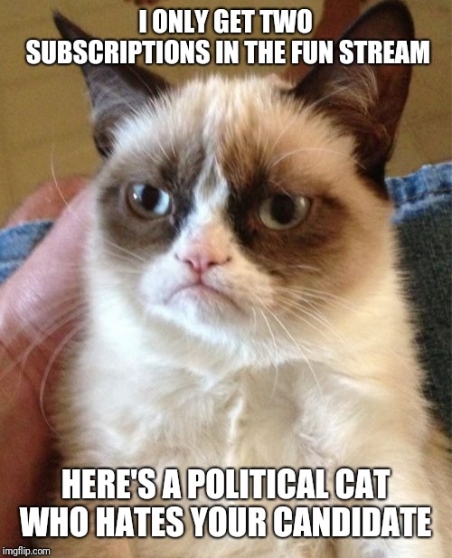 Fight!  | I ONLY GET TWO SUBSCRIPTIONS IN THE FUN STREAM; HERE'S A POLITICAL CAT WHO HATES YOUR CANDIDATE | image tagged in memes,grumpy cat,politics | made w/ Imgflip meme maker