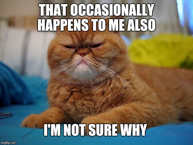 Suspicious Cat | THAT OCCASIONALLY HAPPENS TO ME ALSO I'M NOT SURE WHY | image tagged in suspicious cat | made w/ Imgflip meme maker