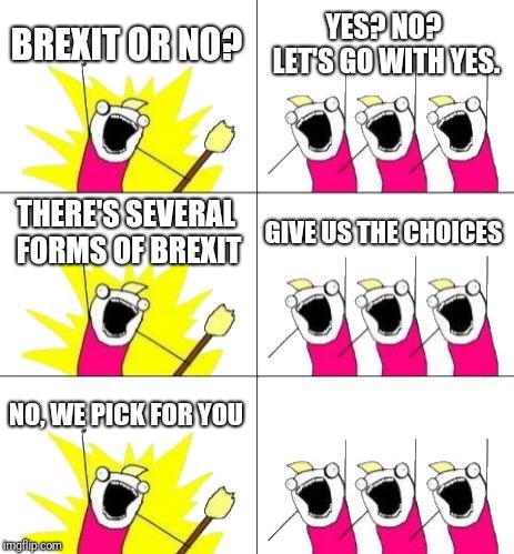 What Do We Want 3 Meme | BREXIT OR NO? YES? NO? LET'S GO WITH YES. THERE'S SEVERAL FORMS OF BREXIT GIVE US THE CHOICES NO, WE PICK FOR YOU | image tagged in memes,what do we want 3 | made w/ Imgflip meme maker