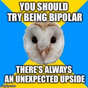 bipolar owl | YOU SHOULD TRY BEING BIPOLAR THERE’S ALWAYS AN UNEXPECTED UPSIDE | image tagged in bipolar owl | made w/ Imgflip meme maker