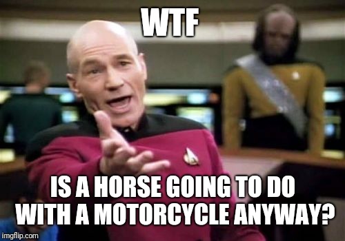 Picard Wtf Meme | WTF IS A HORSE GOING TO DO WITH A MOTORCYCLE ANYWAY? | image tagged in memes,picard wtf | made w/ Imgflip meme maker