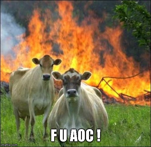 Evil Cows Meme | F U AOC ! | image tagged in memes,evil cows | made w/ Imgflip meme maker