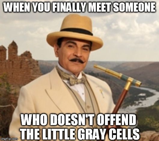 Happy Poirot | WHEN YOU FINALLY MEET SOMEONE; WHO DOESN'T OFFEND THE LITTLE GRAY CELLS | image tagged in hercule poirot,david suchet,humor,mystery | made w/ Imgflip meme maker
