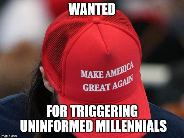 Red Hat Privilege  | WANTED; FOR TRIGGERING UNINFORMED MILLENNIALS | image tagged in jussie smollett,hoax,funny,trump | made w/ Imgflip meme maker