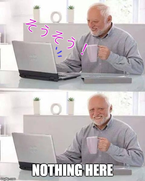 Hide the History Harold | そうそう！; NOTHING HERE | image tagged in memes,hide the pain harold | made w/ Imgflip meme maker