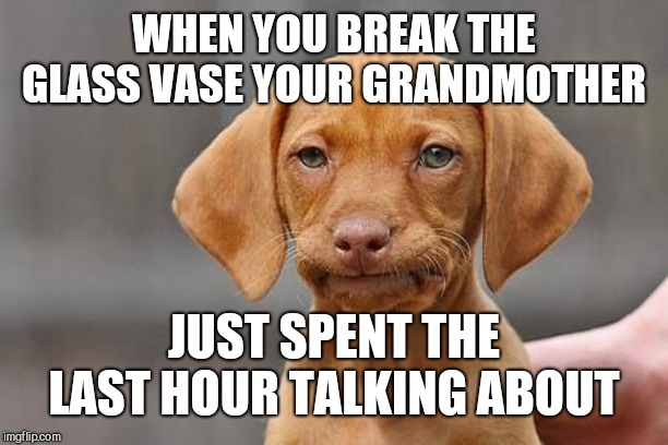 Dissapointed puppy | WHEN YOU BREAK THE GLASS VASE YOUR GRANDMOTHER; JUST SPENT THE LAST HOUR TALKING ABOUT | image tagged in dissapointed puppy | made w/ Imgflip meme maker