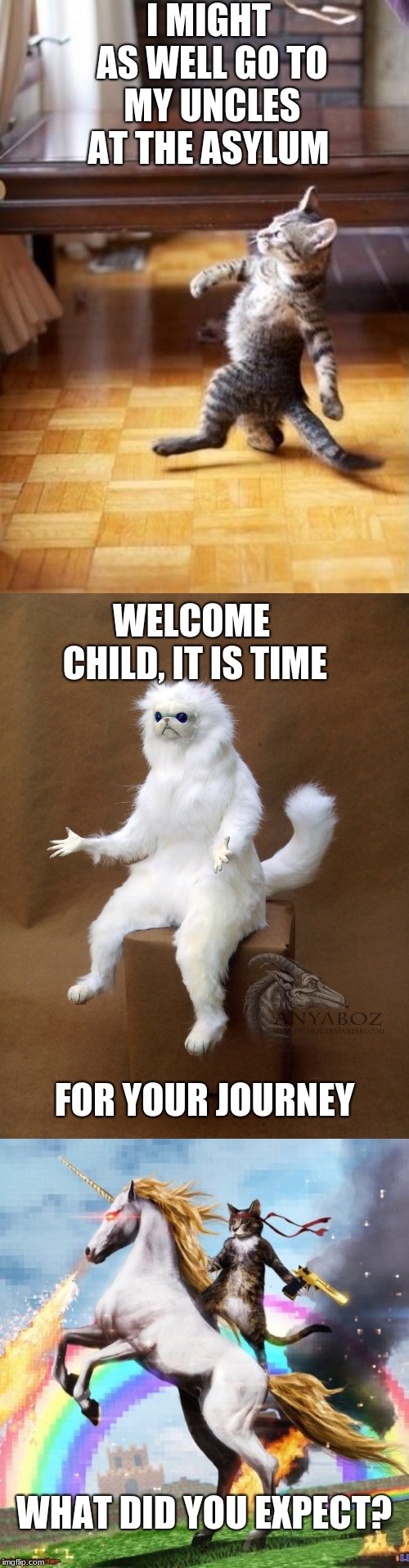 I MIGHT AS WELL GO TO MY UNCLES AT THE ASYLUM; WELCOME CHILD, IT IS TIME; FOR YOUR JOURNEY; WHAT DID YOU EXPECT? | image tagged in memes,cool cat stroll,welcome to the internets,persian cat room guardian single | made w/ Imgflip meme maker