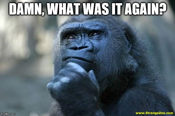 Deep Thoughts | DAMN, WHAT WAS IT AGAIN? | image tagged in deep thoughts | made w/ Imgflip meme maker