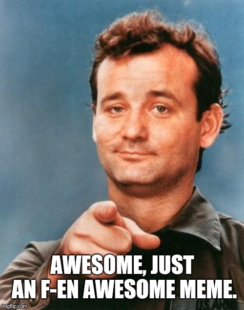 Bill Murray You're Awesome | AWESOME, JUST AN F-EN AWESOME MEME. | image tagged in bill murray you're awesome | made w/ Imgflip meme maker