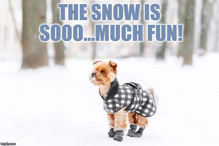 THE SNOW IS SOOO...MUCH FUN! | made w/ Imgflip meme maker