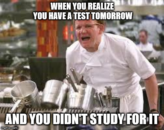 Gordon ramsey | WHEN YOU REALIZE YOU HAVE A TEST TOMORROW; AND YOU DIDN'T STUDY FOR IT | image tagged in gordon ramsey | made w/ Imgflip meme maker