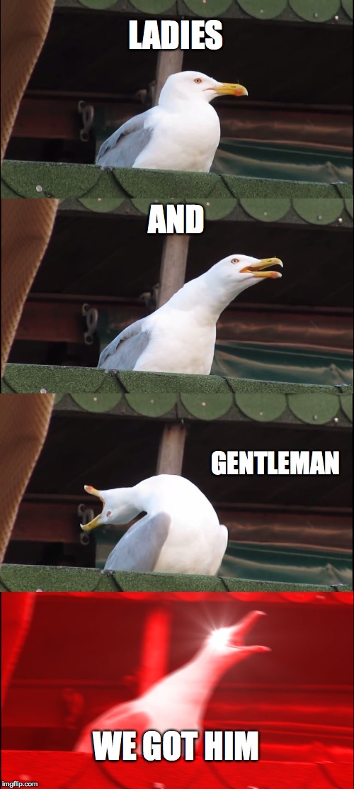 Inhaling Seagull | LADIES; AND; GENTLEMAN; WE GOT HIM | image tagged in memes,inhaling seagull | made w/ Imgflip meme maker